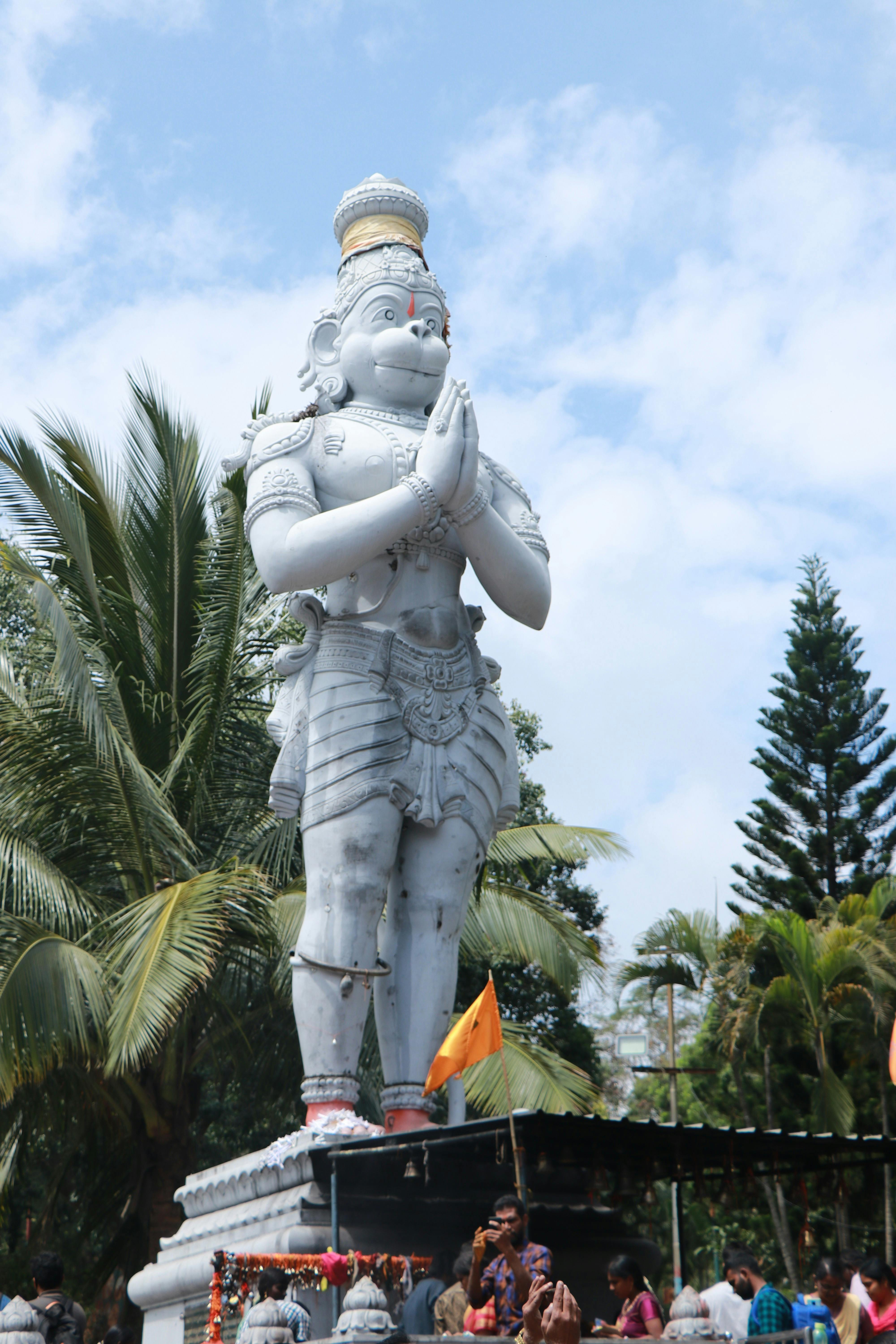 Паростки мікрогріну в контейнері